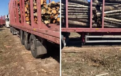 »С Гулеватым я детей не крестил»: бизнесмен Бабий опровергает причастность к вероятным »черным» рубкам на Житомирщине