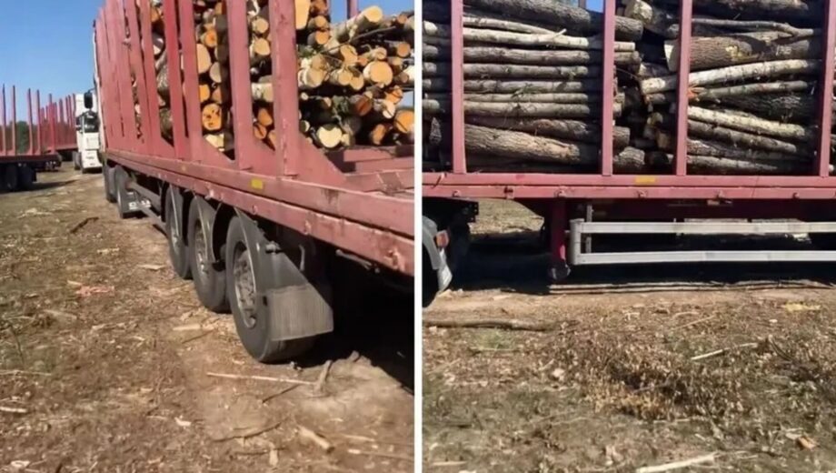 »С Гулеватым я детей не крестил»: бизнесмен Бабий опровергает причастность к вероятным »черным» рубкам на Житомирщине