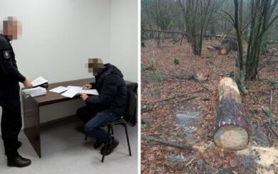 Службова недбалість у заповіднику: інспекторам загрожує до 5 років ув’язнення