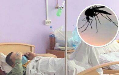 У Києві троє людей померли від гарячки Західного Нілу: що відомо про недуг