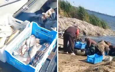 На Харківщині зупинили незаконний вилов риби під час нерестової заборони (ФОТО, ВІДЕО)