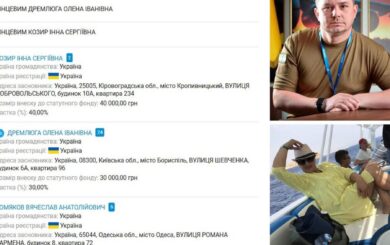 Теща Авдеева из АО »Антонов» открыла в Кропивницком частный авиацентр – расследование