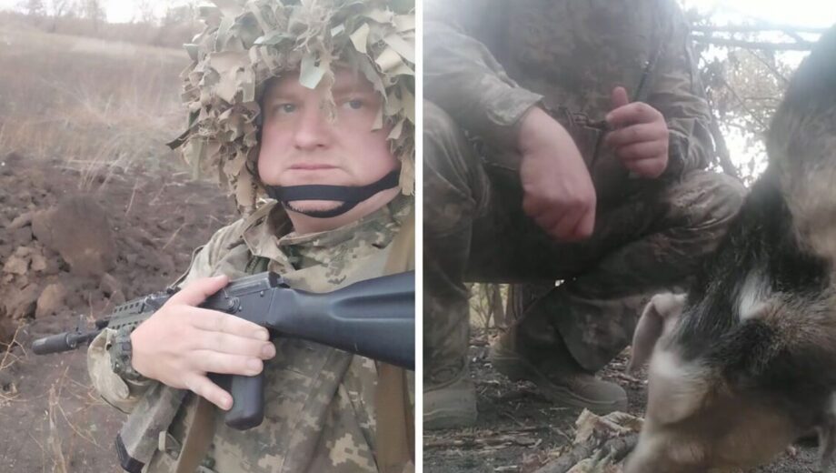 Человечность в аду: стопкоровец из Киева показал, как бойцы кормят животных на фронте