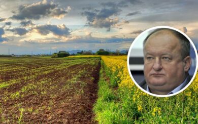 Вице-президент НАН Рафальский задекларировал более 100 участков на Кировоградщине площадью с пол села