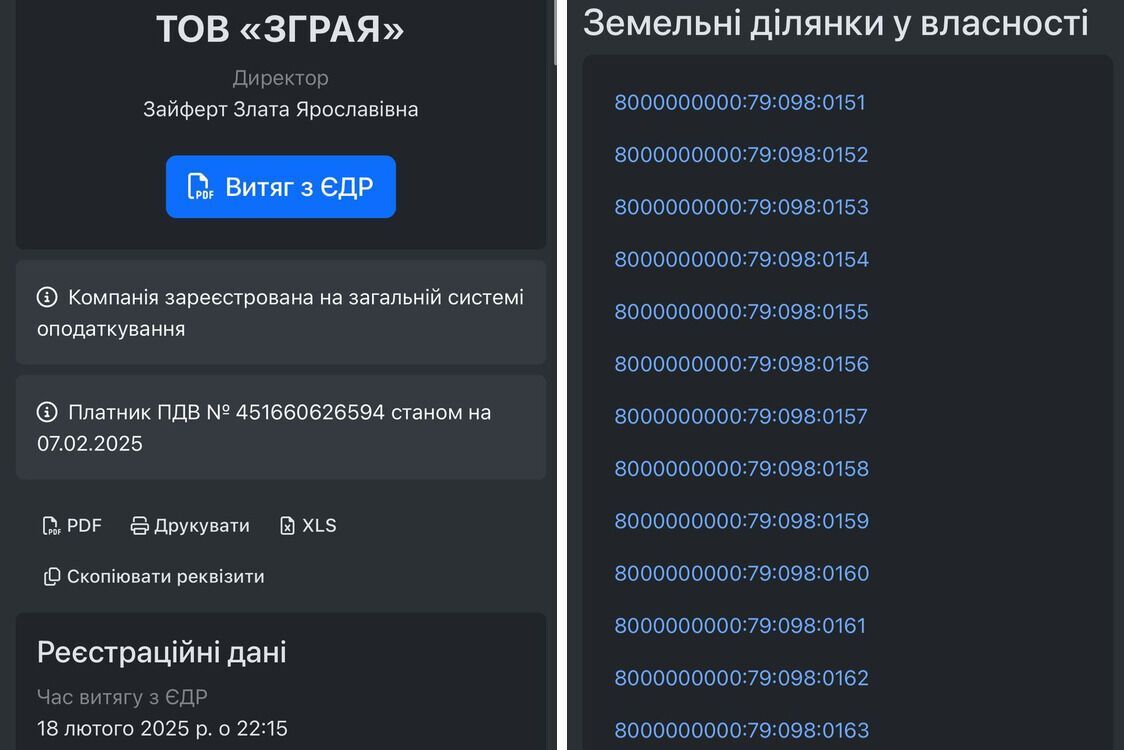 Чинним власником ділянки є ТОВ ''Зграя''