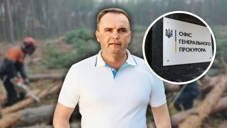Офис Гришко проверит прокуратура: в лесничествах Слобожанщины могли массово занижать цену древесины