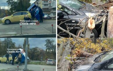 Сильний вітер у Києві зриває дахи та вириває дерева (фото)