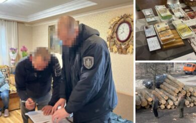 11 млн грн на лесу: ГБР разоблачило масштабную схему на Сумщине