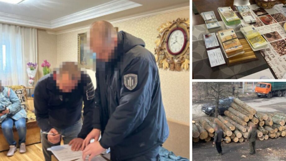 11 млн грн на лісі: ДБР викрило масштабну схему на Сумщині