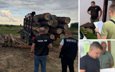 Незаконна вирубка на Львівщині: п’ятеро працівників лісництва фігурують у справі про збитки на мільйони