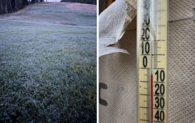В Украине прогнозируют прохладный день: в Карпатах +11°, на юге до +24°