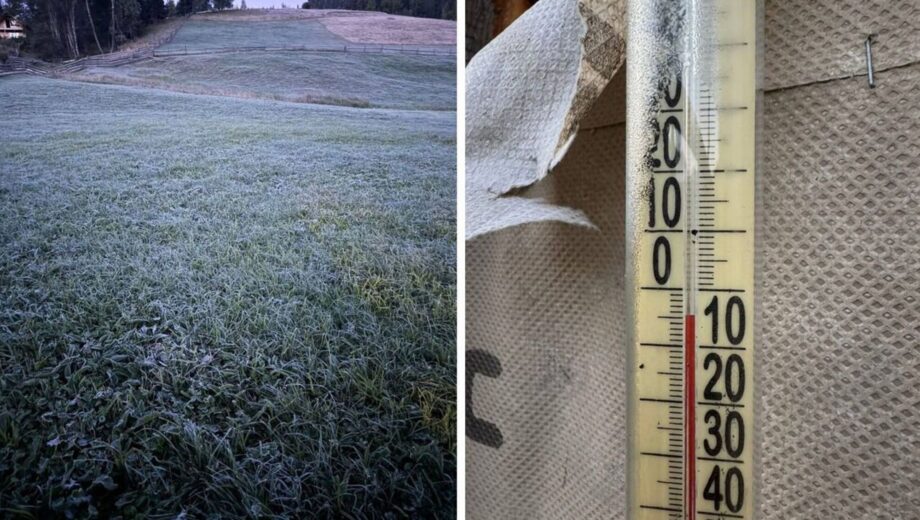 В Украине прогнозируют прохладный день: в Карпатах +11°, на юге до +24°