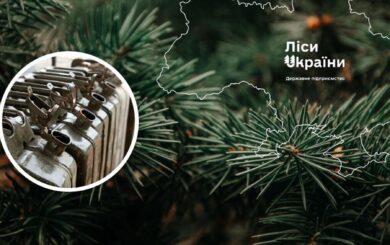 Мільярд на пальне: як ”Ліси України” обрали найдорожчу пропозицію від маловідомої компанії