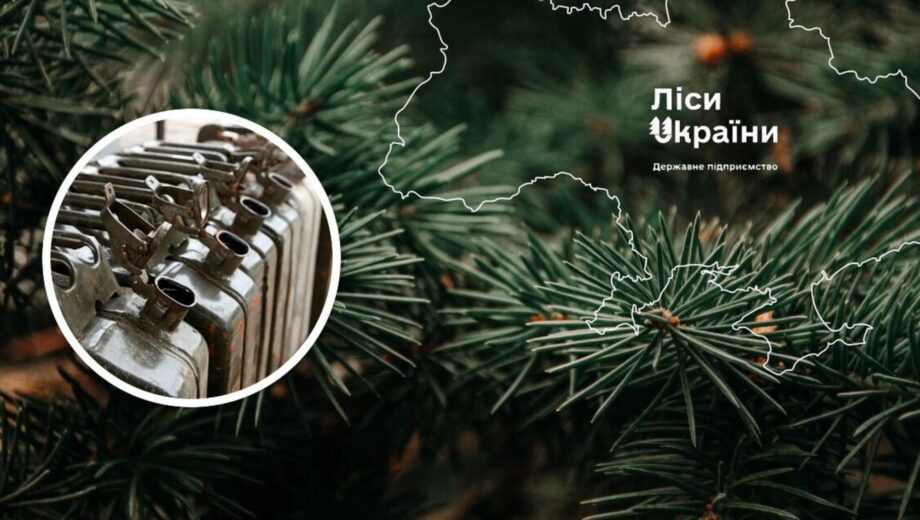 Мільярд на пальне: як ”Ліси України” обрали найдорожчу пропозицію від маловідомої компанії
