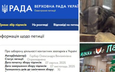 Одесский контактный зоопарк »Маки-Паки»: как один маленький енот раскрыл все закулисье?