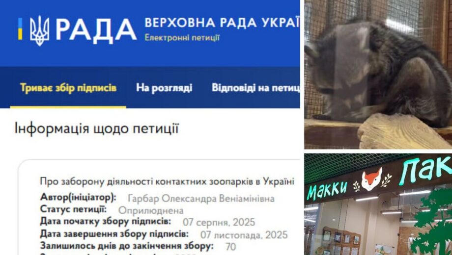 Одеський контактний зоопарк ”Макі-Пакі”: як один маленький єнот розкрив усі залаштунки?