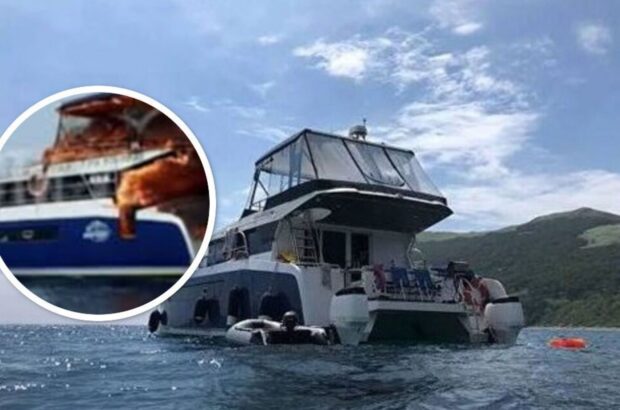 Инцидент с катамараном »Мерлион»: судно загорелось в открытом море