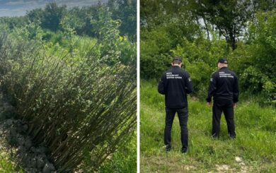 Масштабное мошенничество с грантами: присвоено 80 млн грн государственных средств