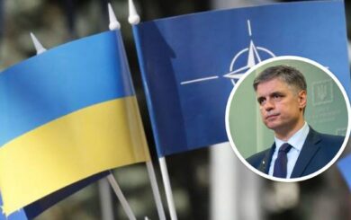 ”Наш план дій щодо членства — це останній етап на шляху до НАТО”, — дипломат Пристайко