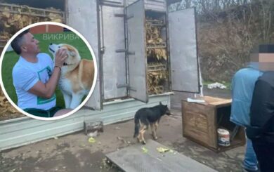 70 гектаров нелегального табака: Лабазюка связывают с теневым производством в Хмельницкой области — Обличитель
