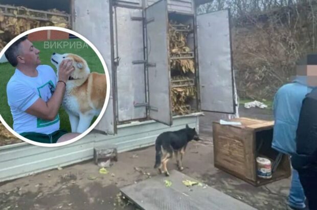70 гектаров нелегального табака: Лабазюка связывают с теневым производством в Хмельницкой области — Обличитель