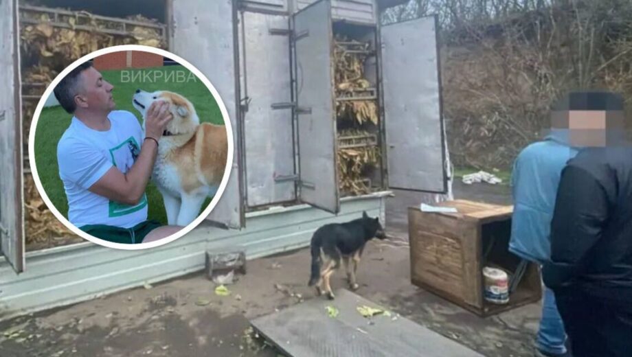 70 гектаров нелегального табака: Лабазюка связывают с теневым производством в Хмельницкой области — Обличитель