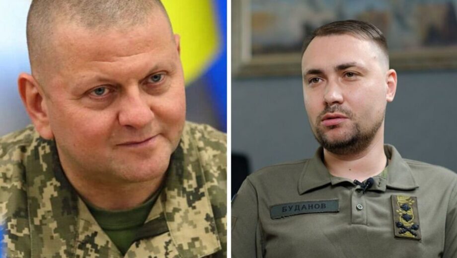 Залужный и Буданов – лидеры доверия среди украинцев: результаты опроса