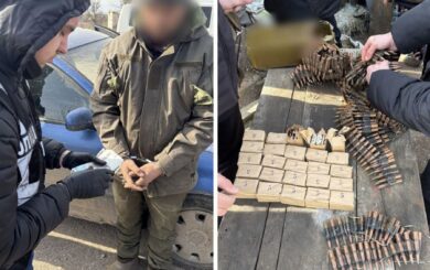 В Николаевской области мужчина торговал оружием: ему грозит до семи лет тюрьмы