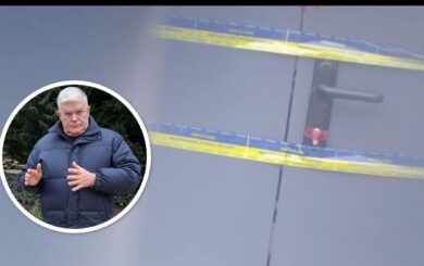 Скандал в Одесском зоопарке: часть здания под арестом, а директор уходит от ответственности?