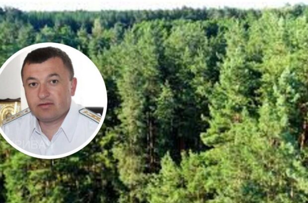 »Один лес – одна семья?»: племянник депутата-деревообработчика Клепа возглавил Костопольское надлесничество
