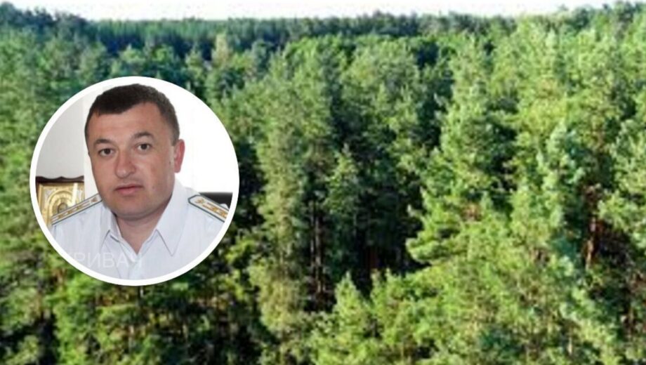 »Один лес – одна семья?»: племянник депутата-деревообработчика Клепа возглавил Костопольское надлесничество