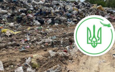 Шкода природі розміром на десятки тисяч: екологічна держінспекція Карпатського округу відкрила кримінальне провадження на Франківщині