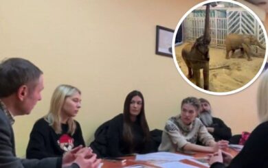 Одесский зоопарк ждет комиссию? Для полноценной проверки Анжелика Карапетян обратилась к немецким зооспециалистам