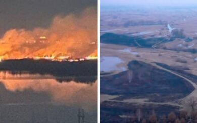 У Києві горів екопарк Осокорки: як виглядає попелище (відео)