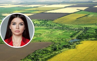 Підозра у заволодінні 92 гектарами на Київщині: СтопКор звернувся до прокуратури щодо статусу депутатки Коваленко