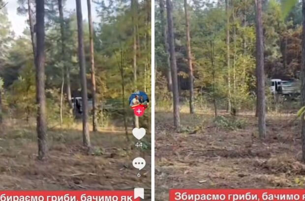 По следам песчаных фур: как ископаемые из нелегальной »точки» Самофала попадают на строительство офиса в Путровке?