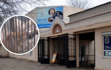 Больные животные и антисанитария: скандал вокруг Одесского зоопарка