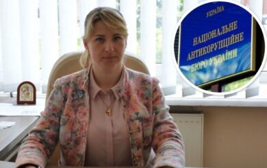 Рекордсменка за кількістю земельних ділянок: що декларує депутатка Тернопільської обласної ради Стечишин