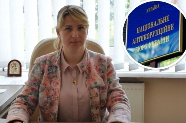 Рекордсменка по количеству земельных участков: что декларирует депутат Тернопольского областного совета Стечишин