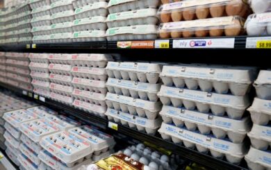 Цены на яйца в США достигли рекорда: как дефицит влияет на покупателей