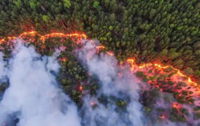 У Саяногорську та Мінусинську вогонь наближається до будинків, оголошено евакуацію