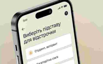 С 3 февраля без отсрочки? Как проверить статус и что делать дальше