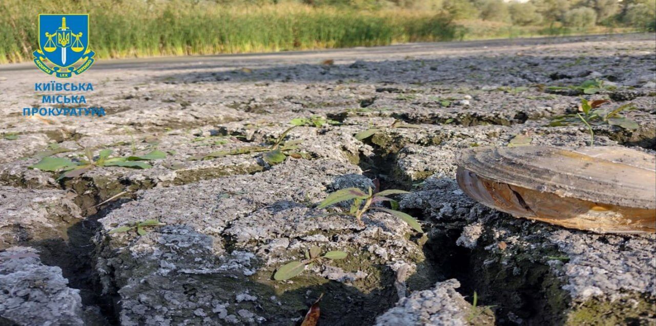 Збитки на 700 тисяч гривень: екс-директор КП ''Плесо'' під підозрою через розчистку озера Синє