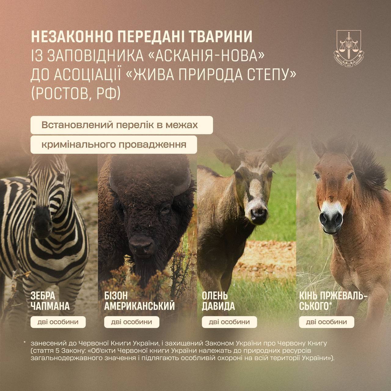 Офіс Генерального прокурора