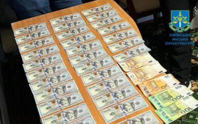 Третя дитина за 3000 доларів: на Київщині судитимуть шахраїв, які ”породжували” багатодітних батьків для виїзду за кордон