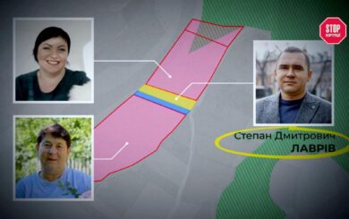 Жена мэра, теща и коттеджи за миллионы: что объединяет участки у реки Яремче?