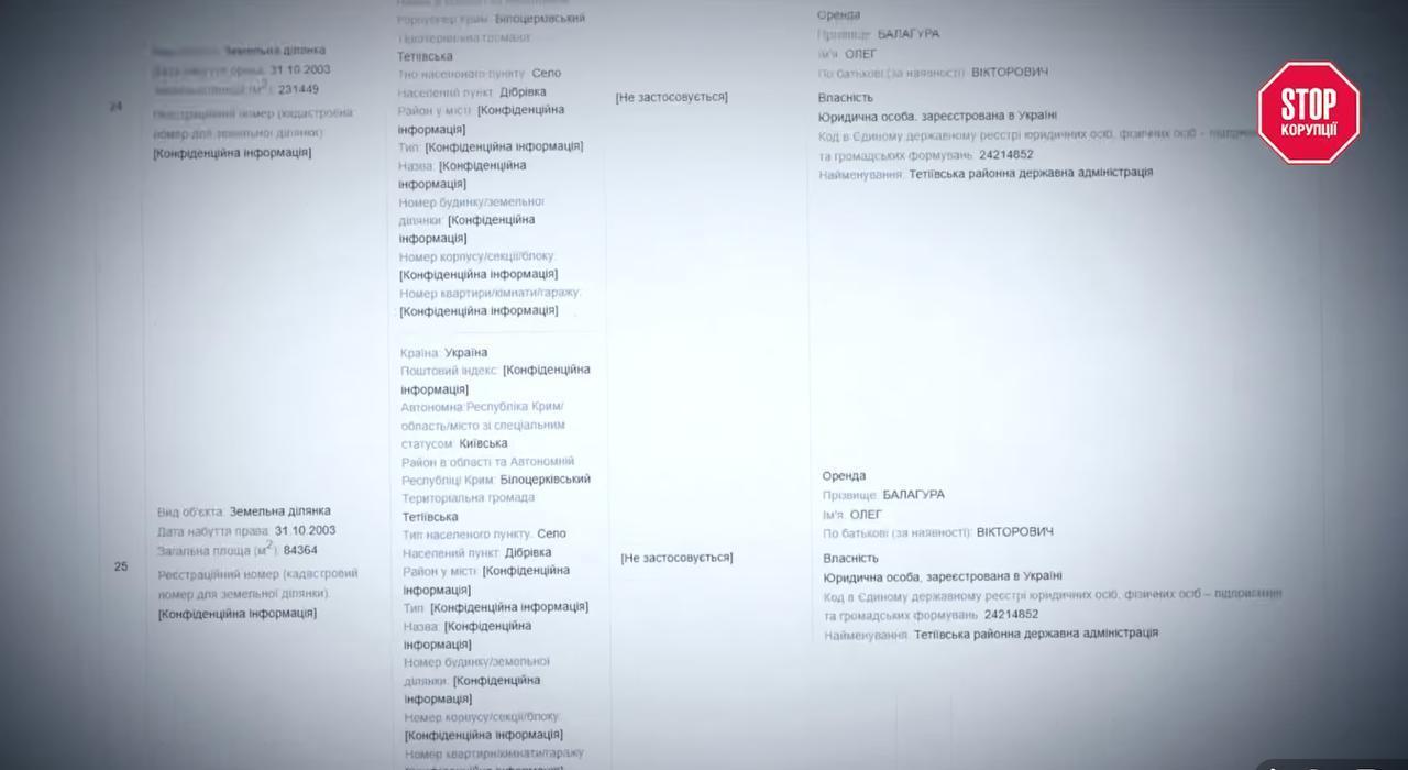 Понад 100 земельних ділянок на щонайменше 10 млн грн: що задекларував директор держгосподарства Балагура