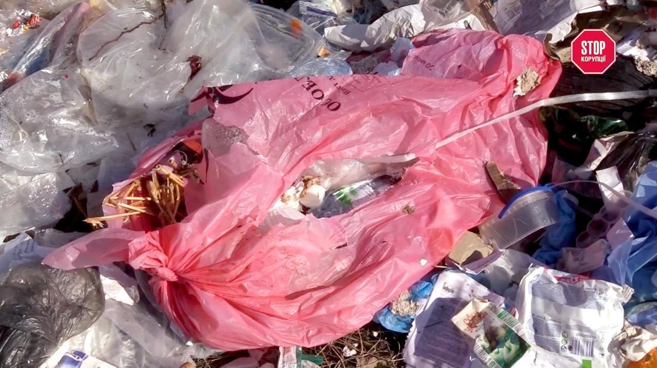 Медицинские отходы под открытым небом: как в Житомире в поле утилизируют шприцы и капельницы