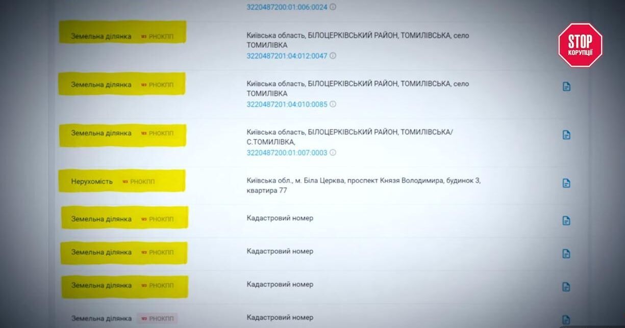 Декларація мінус мільйони: як заступниця начальника Держгеокадастру Ястреб переписала активи на батька й доньку