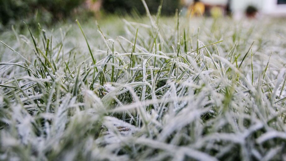 Прогноз погоды в Украине на 3 октября 2025 года: заморозки, туман и сильный ветер